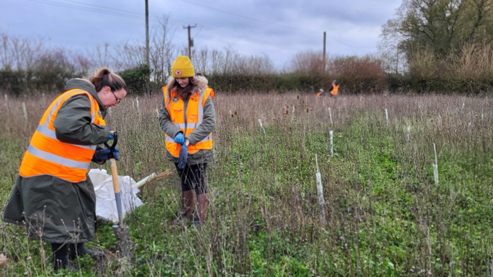 Two volunteers in high-viz, planting small trees (whips) in a field